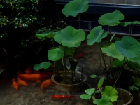 宏村溪雲畔月•リゾートコレクション徽州百年名宅藝術民宿 黟県のホテル