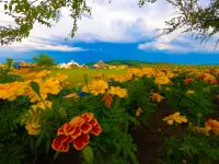 Four Seasons Nabo Hotel Hotels in Duolun