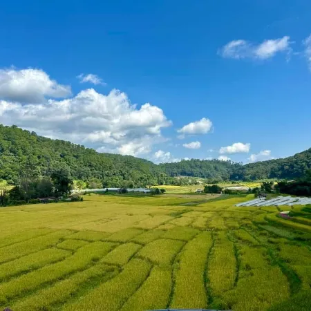 Mea Klang Luang Villa
