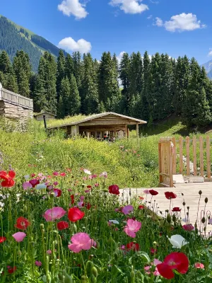 DISTANT MOUNTAINS HOTEL Hotels near Qiongkushitai Grassland in Xinjiang