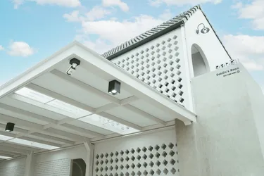 รูปภาพของดอกดินแฟมิลี่