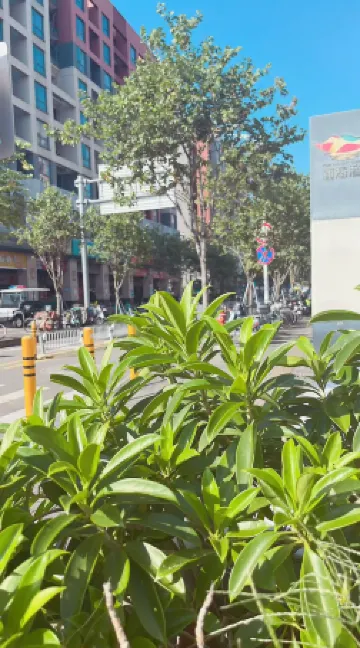 SOVIS Meipu Hotel (Qianhai Mawan Subway Station)