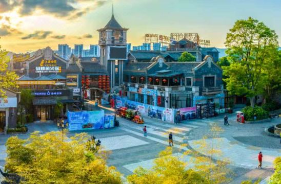 24디그 노스 라티튜드 테마 인 정원