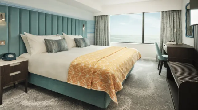 호텔 인디고 토키, IHG  호텔