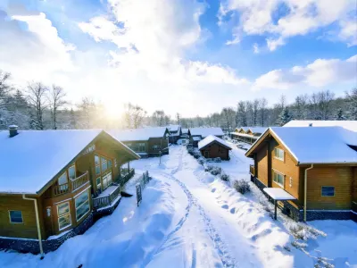 ChangBai Mountain Pine&Birch Villa Hotels in 