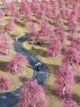 Wunvzhou Dreamless Lake Resort Hotel - Romantic