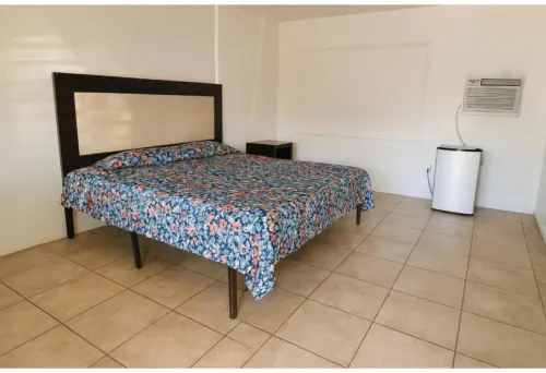 Antigua Motel by OYO Tampa US - 41 - Motels