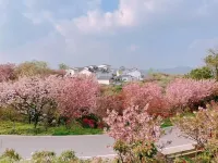 LOSTVILLA·Gushe(Yuyao)