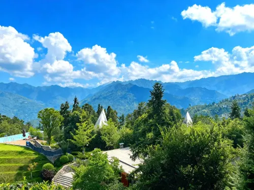 ซานเซีย ทีทาวน์