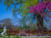 Meihuazhou Qilin N&S Courtyard, Jiaxing Hotels near Meihuazhou