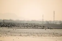 Huangpi Lianju · Lujiang Resort Hotel - 뷰