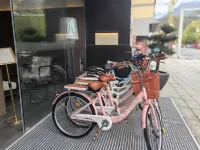Boyunjian Hotel (Maoxian Ancient Qiang City) - Vuoristonäköala