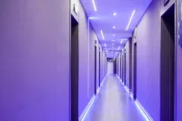 柘石電競 - 宠物友好