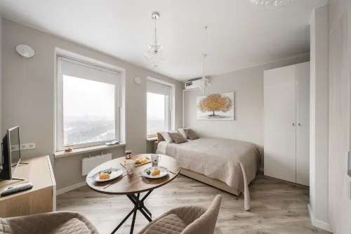 Cleverland SMART LOFTS MOSCOW - Pet Friendly