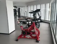 Suiyi Stay Oriental Aoya Hotel - Fitnessstudio