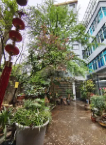羅平白果樹酒店