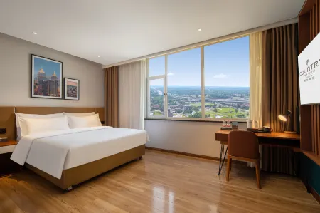 Radisson Blu Hotel (Zibo MixC Plaza & Badaju Branch)