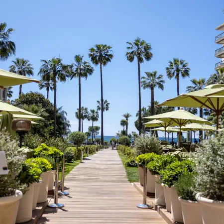 Mondrian Cannes