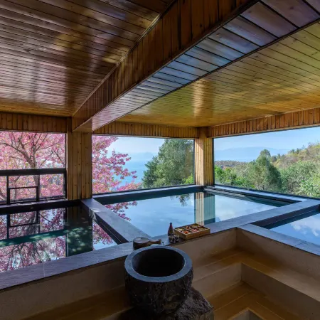 Fuxian Lake Tangsu Hot Spring Club