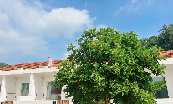 Yantai Tongyuanli Homestay