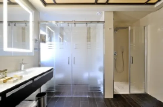 빈치 셀렉시온 알레이사 호텔 부티크 & 스파 베날마데나코스타 호텔