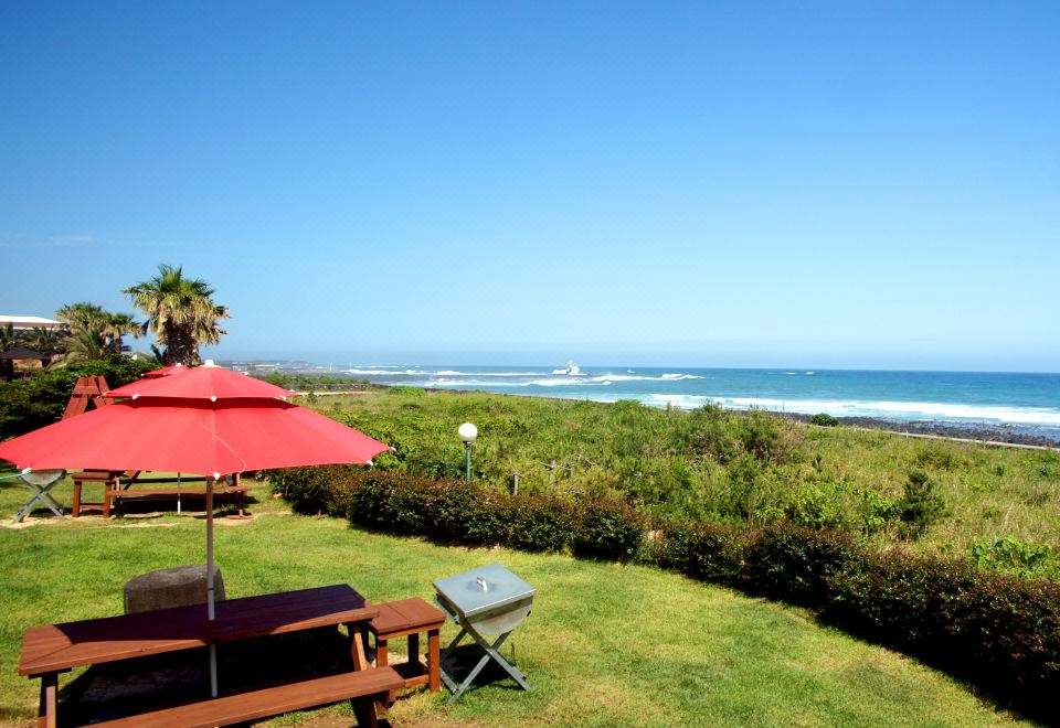 5. 노인과바다..