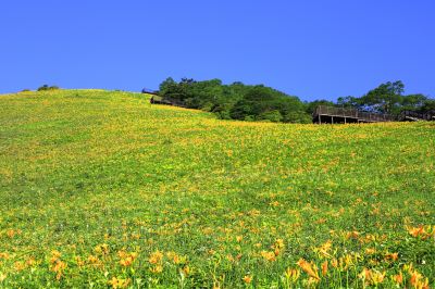 ホテル周辺 亀の井ホテル 奥日光湯元の写真