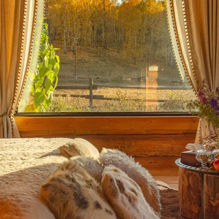 Hemu Youyuan Chalet Forest B&B