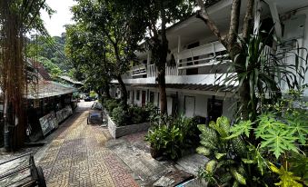 Coco's Guest House