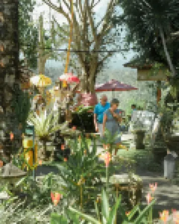 Mahagiri Resort & Restaurant Hotels near Mahapraja Bangli