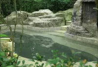 Radisson Blu Hotel Zunyi - Hot Springs