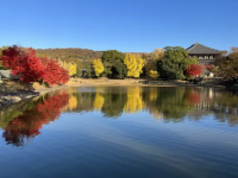 NARA PARK BLUE SKY