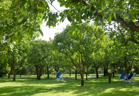Hilton Sorrento Palace