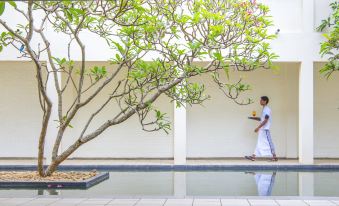 Mermaid Hotel & Club