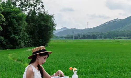 Kaiping Honglou Watchtower  Topic Hotel