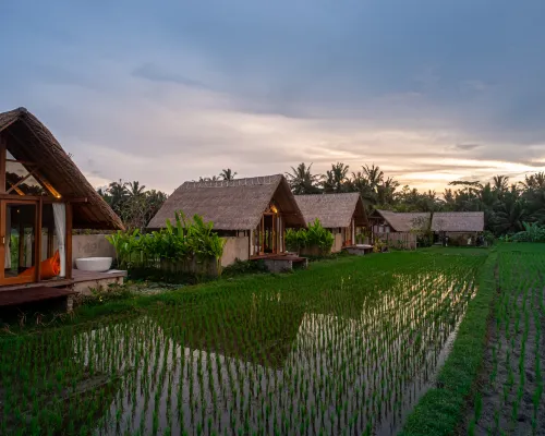 Pondok Mawas Hotels near Rudana Museum