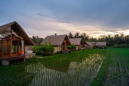 Pondok Mawas Отели рядом с достопримечательностью «Night At The Zoo»