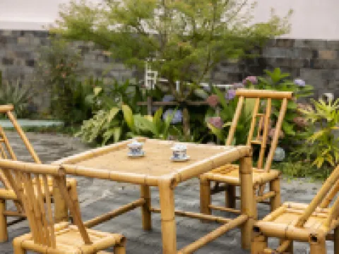 Dingnan Hakka Ancient Town - Guqin Academy Homestay Hotels in Dingnan