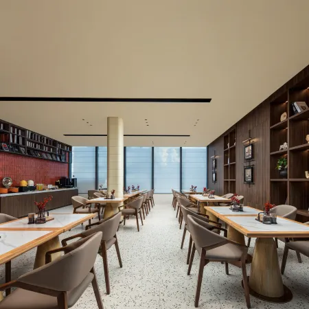 Radisson Sega Hotel (Dongyang Wood Carving Town Baolong Plaza)