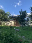 Lightwalker’s Lodge