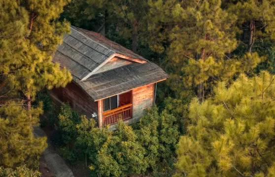 清遠金子山森林雪谷壯瑤度假村