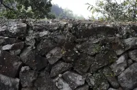 Jojen Zhujian Homestay (Pingyang Huaixi)