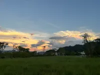 โรงแรมเต๋อซิง - วิวภูเขา