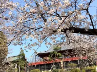 MYSTAYS 上野東酒店 - 浪漫/情侶