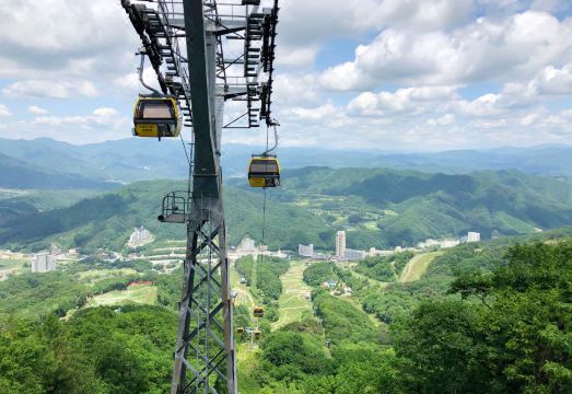 휘닉스 리조트 워터파크