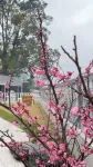 Designer Villa • Jiudu Boutique Stay (Pingxiang Wugongshan Scenic Area Management Committee)