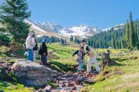 Mountain Lake Flower Sea · Sayram Lake Panoramic Homestay - 공항 셔틀버스