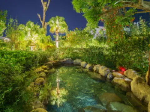 Meizhou Wuhua Hot Mineral Mud Hot Spring Resort Hotel di Wuhua