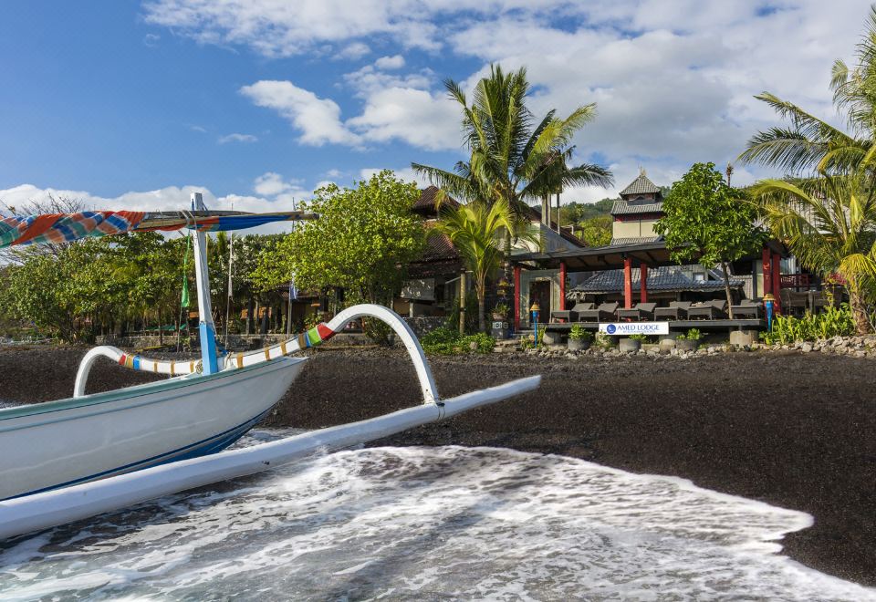 5. 아메드 로지 바..