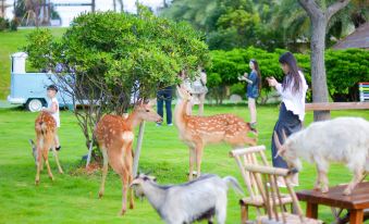 Grand New Century Resort Dongtou Wenzhou